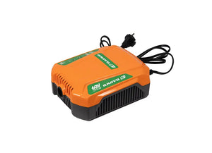 CARGADOR MOCHILA 8,0A BATERÍA 60V ANOVA E60CH80B - Grupo Dila