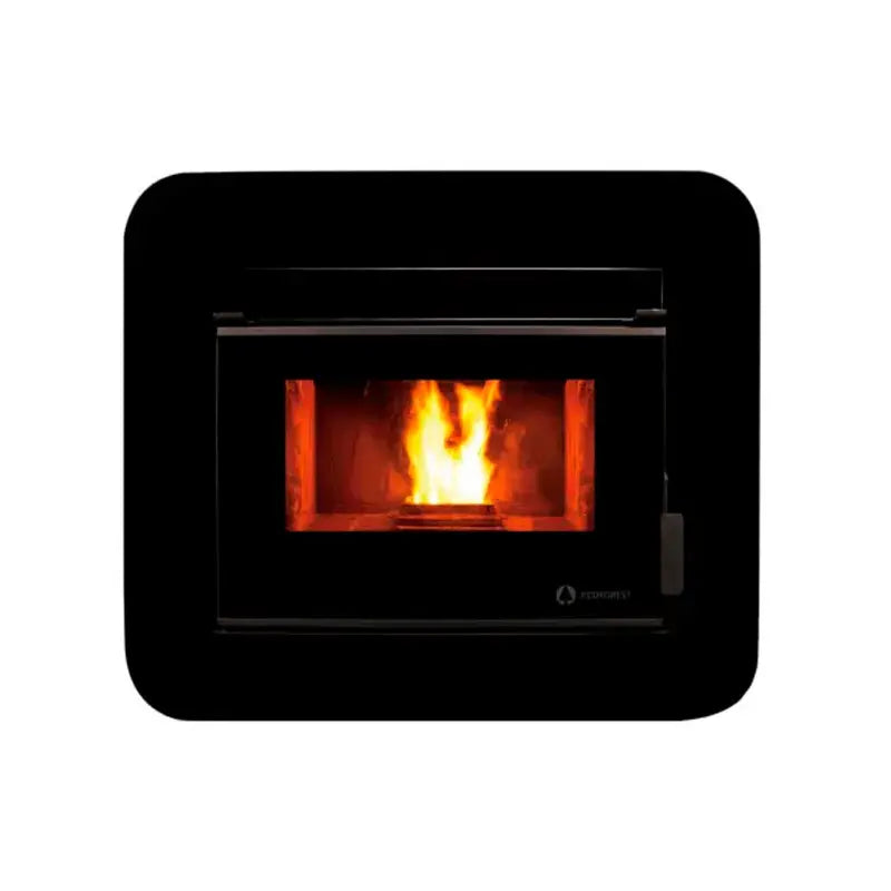 ESTUFA DE AIRE INSERTABLE ECOFOREST CORDOBA GLASS 12KW Grupo Dila