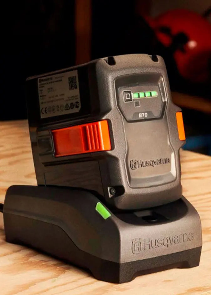 CARGADORES Grupo DIla