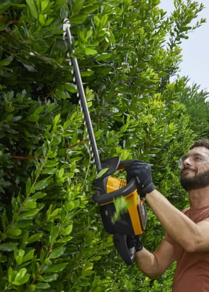 CORTASETOS Grupo DIla