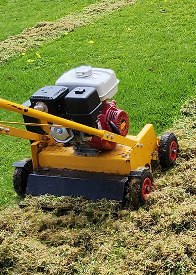 ESCARIFICADORES Grupo DIla