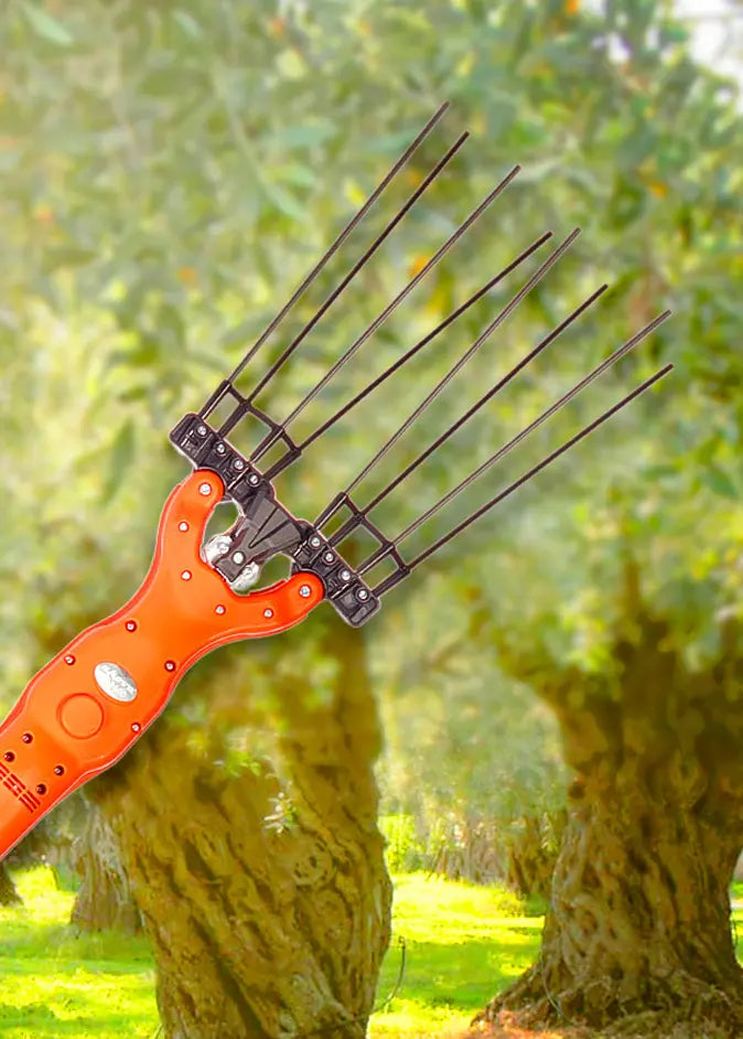 VAREADORAS Grupo DIla