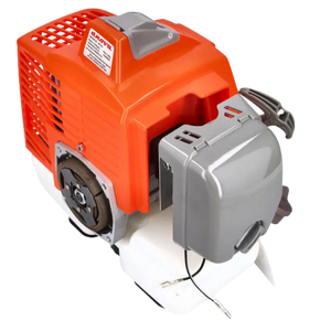 MOTOR DESBROZADORA - VAREADORA 63 c.c.  D63-MOTOR - Grupo Dila