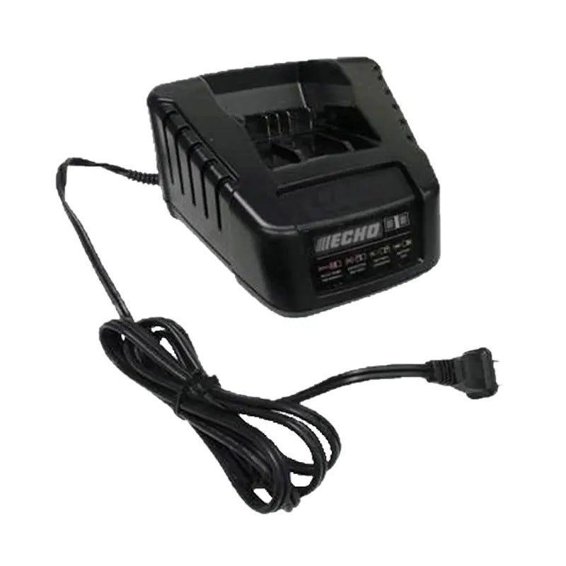 CARGADOR BATERÍA RAPIDO ECHO 50 V Grupo Dila